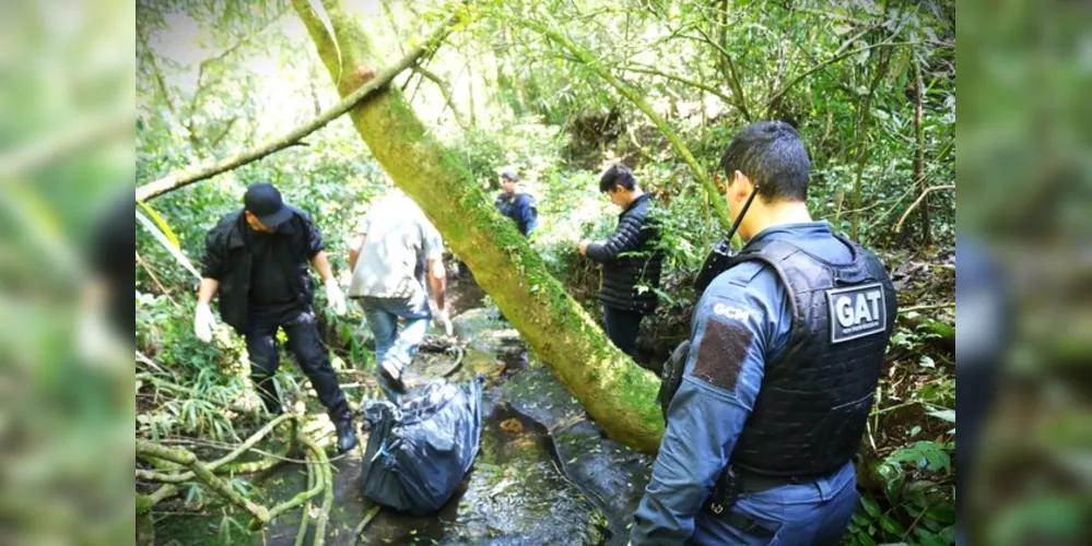 Equipe GAT, da Guarda Municipal, esteve na ocorrência