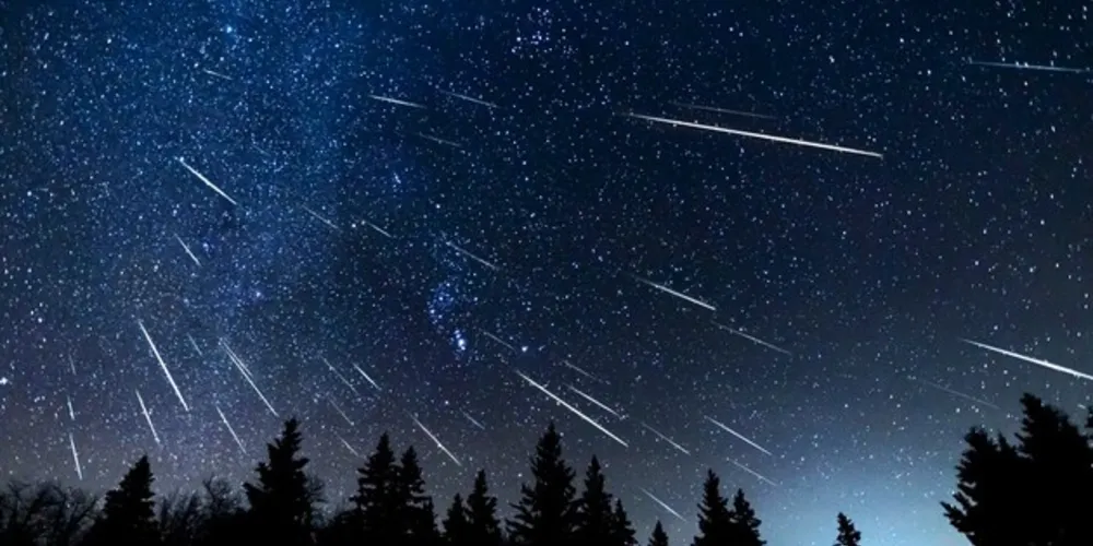 O melhor horário para ver a 'chuva' será das 3h30 até o amanhecer