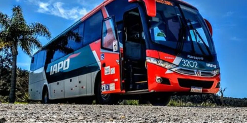 Foto vencedora do 3º Concurso de Fotografia do Sintropas