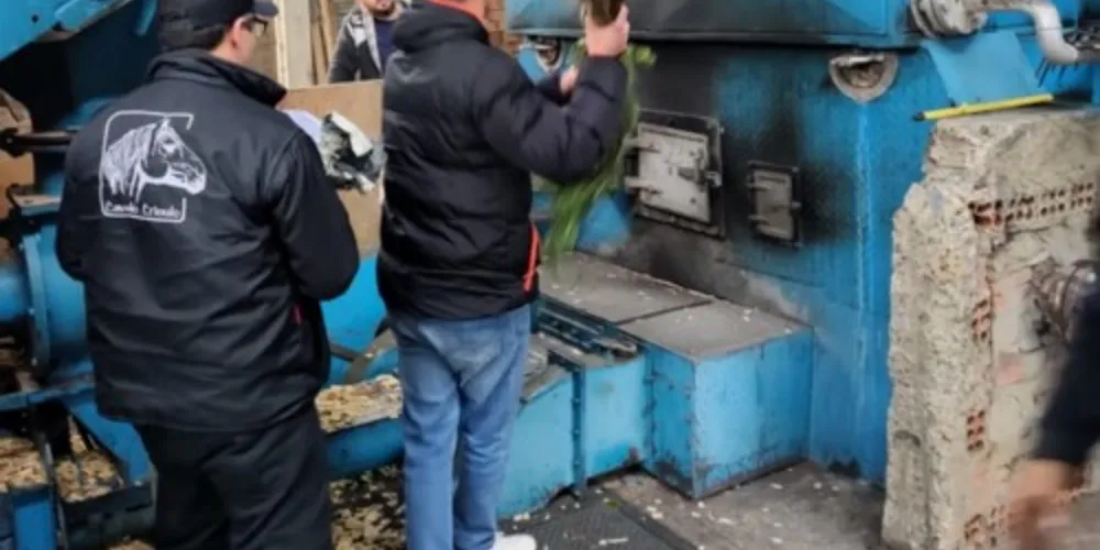Drogas foram incineradas na tarde da última quarta-feira (19)