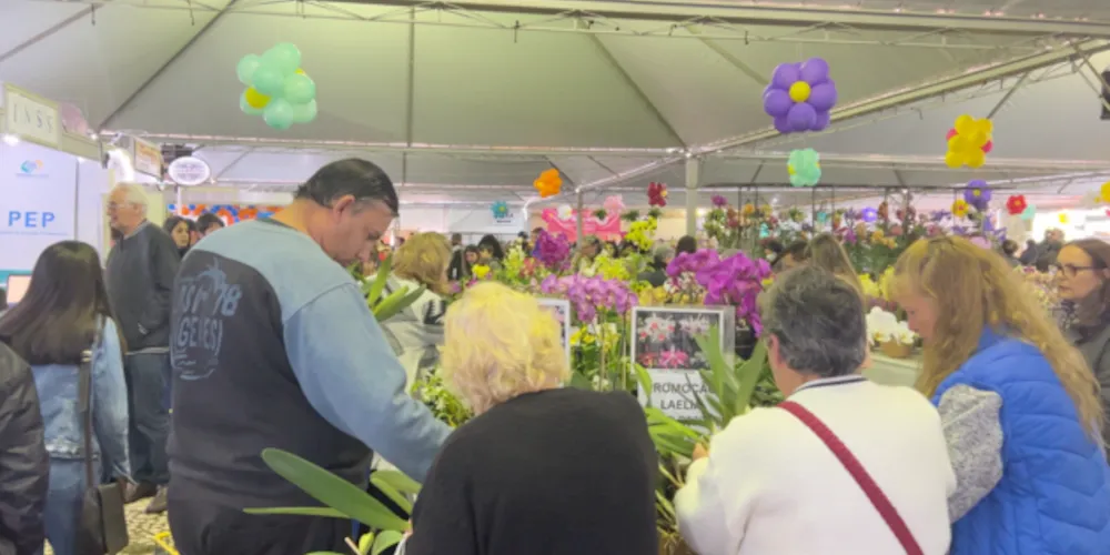 O evento acontece entre os dias 6 e 17 de setembro, das 09h às 21h, no Parque Ambiental