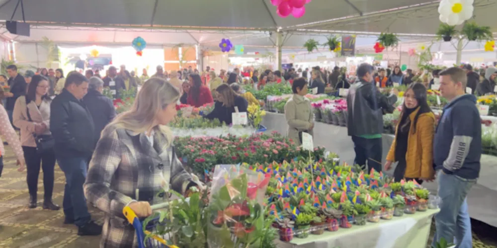 Expo&Flor deste ano ocorre em homenagem aos 200 anos de Ponta Grossa