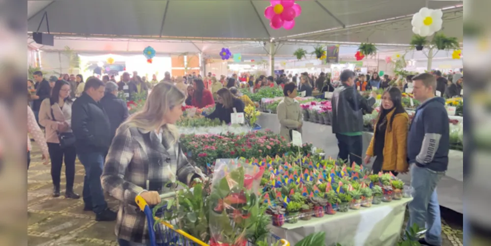 Expo&Flor deste ano ocorre em homenagem aos 200 anos de Ponta Grossa