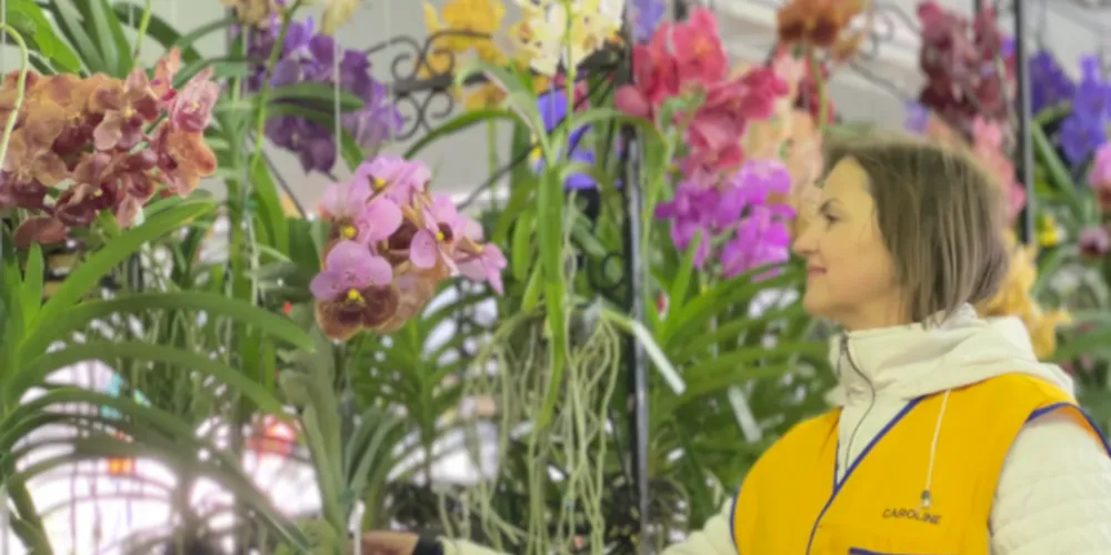 Feira acontece entre os dias 06 e 17 de setembro, das 09h às 21h, no Parque Ambiental