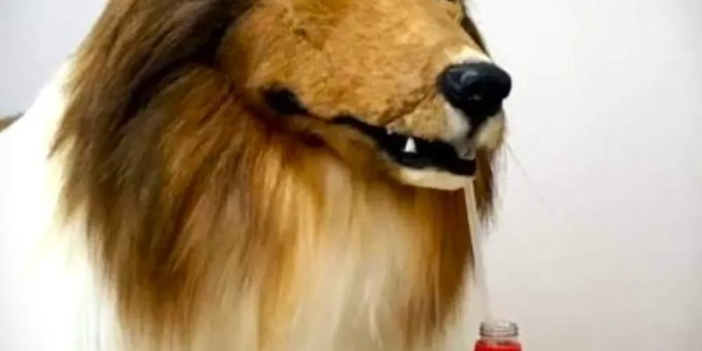 Fantasia hiper-realista é da raça collie