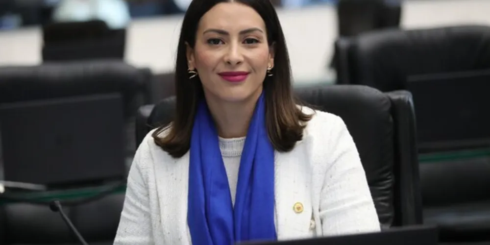 A nova legislação colocará em prática a ideia e iniciativa já prevista pela deputada Mabel