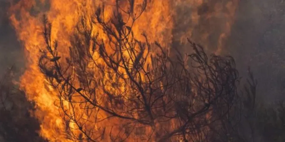 Por longos anos, o planeta Terra viveu o que ficou conhecido como aquecimento global