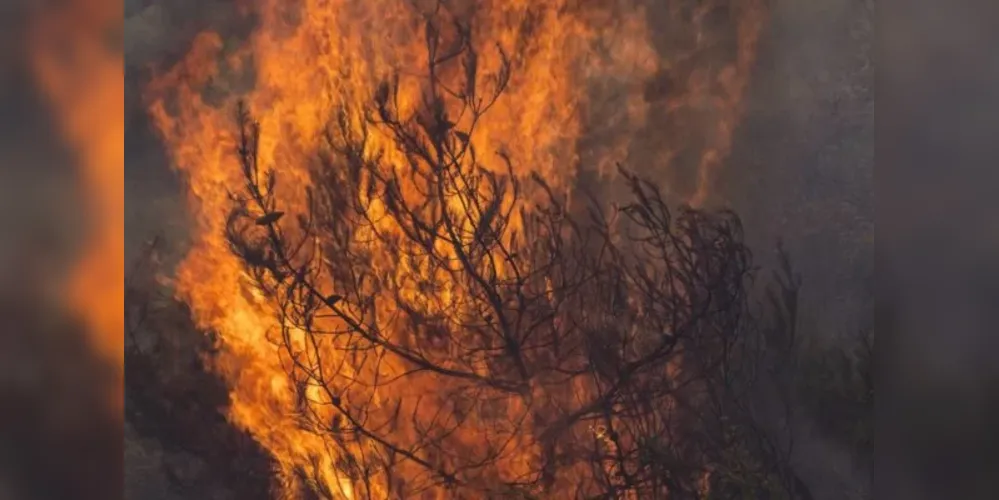 Por longos anos, o planeta Terra viveu o que ficou conhecido como aquecimento global