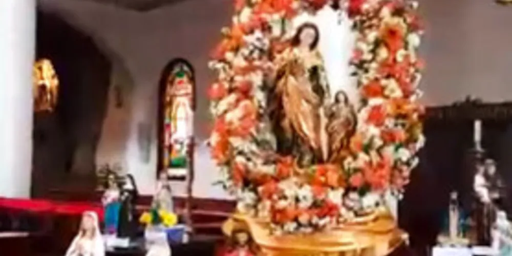 Jacu foi flagrado por câmeras de celular