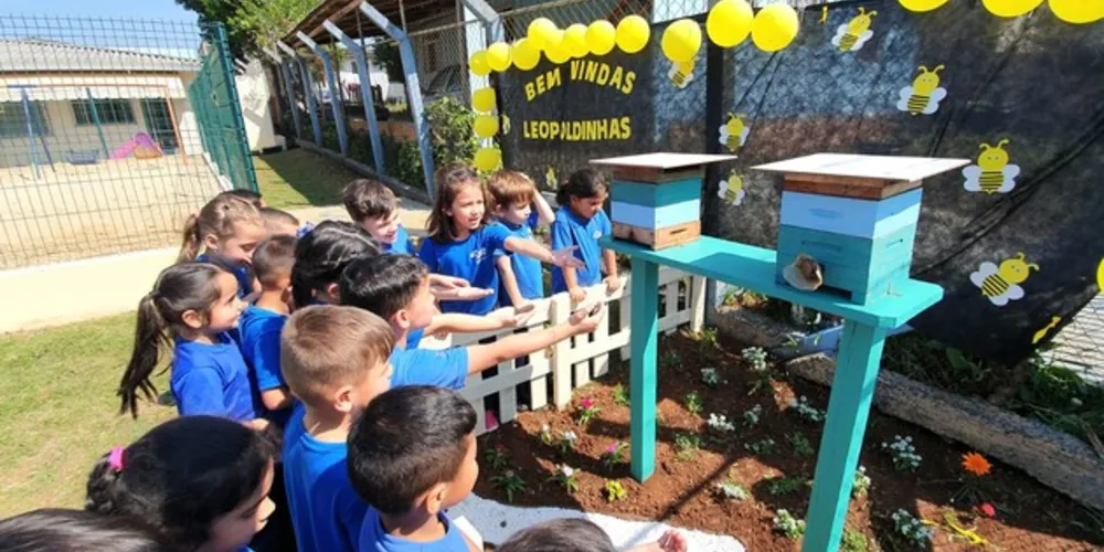 O CMEI Leopoldo Lopes Sobrinho, no Parque Tarobá, recebeu duas colmeias da espécie Mandaçaia