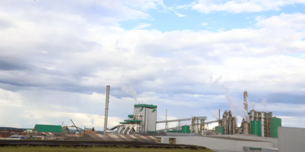 Imagem ilustrativa da imagem Klabin inaugura maior investimento privado na história do Paraná