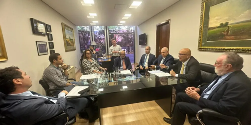 Também participaram da conversa os deputados Ademar Traiano (PSD), Alexandre Curi (PSD), Tercílio Turini (PSD), a deputada Mabel Canto (PSDB), além de representante da deputada Maria Victoria (PP)