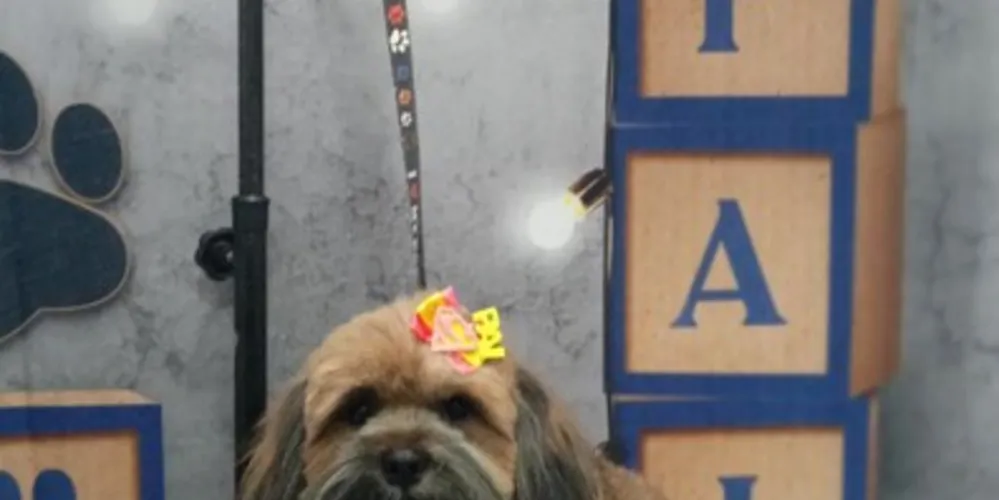 Mell saiu de casa no último domingo (24), próximo ao Supermercado Tozetto