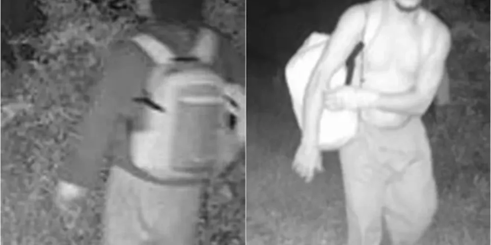 O brasileiro fugiu da prisão há 12 dias