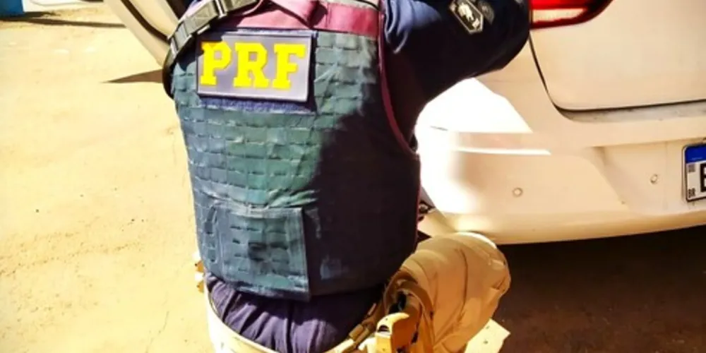 Agentes da polícia realizaram a 'operação' nesta terça-feira (22)