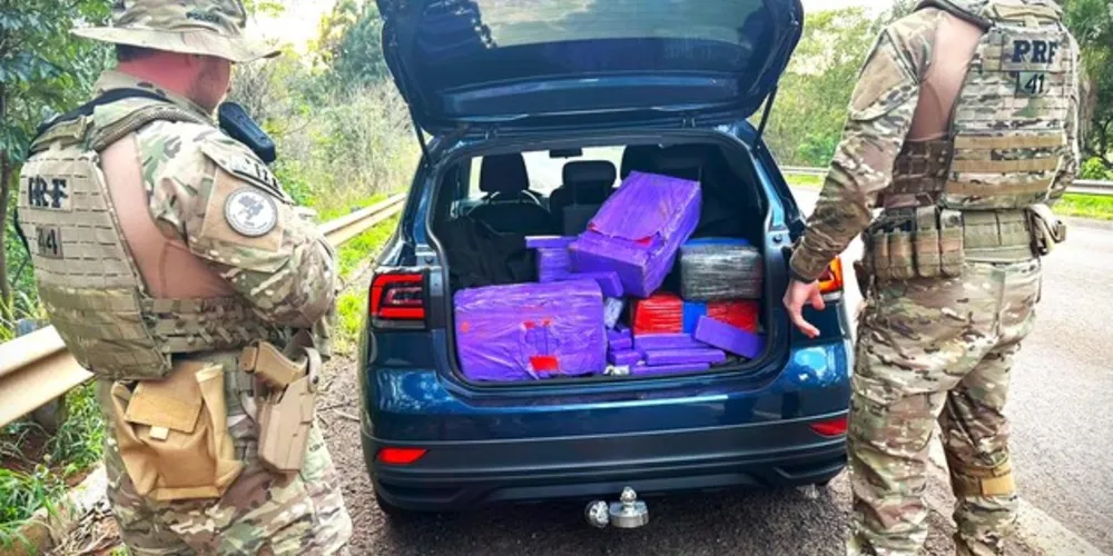 Agentes de segurança apreenderam a droga na BR-272