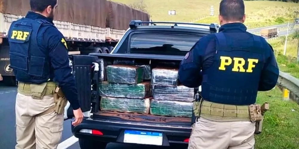 Agentes de segurança realizaram a apreensão nesta terça-feira (29)