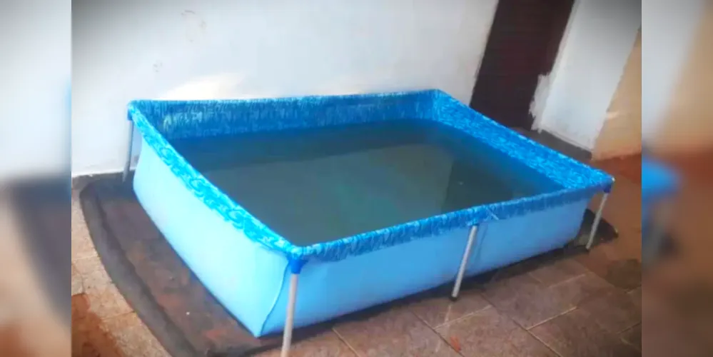 Criança teria se afogado numa piscina dentro de casa