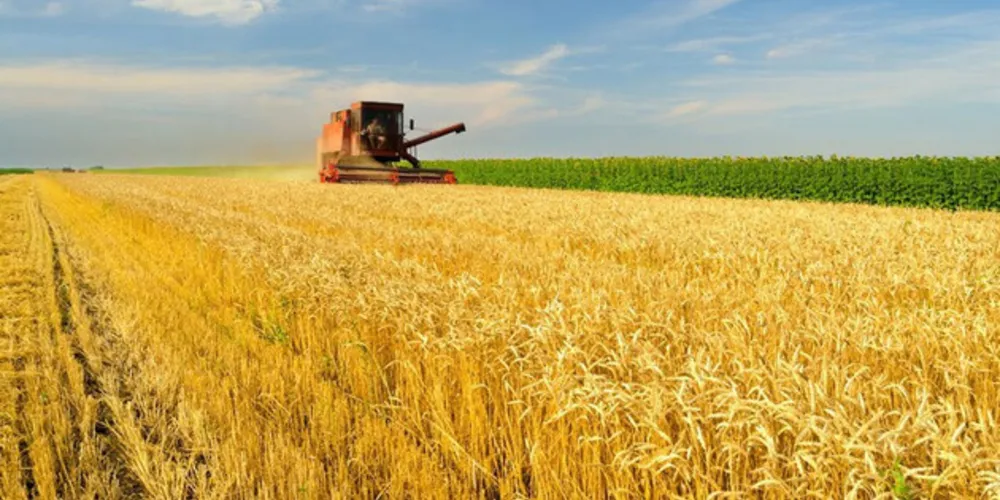 Houve um aumento de 53% em relação ao último Plano Safra.