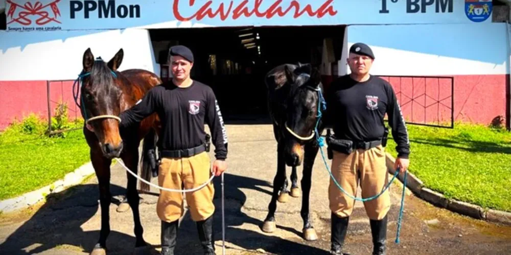 Potras chegaram a Ponta Grossa com 3 anos de vida