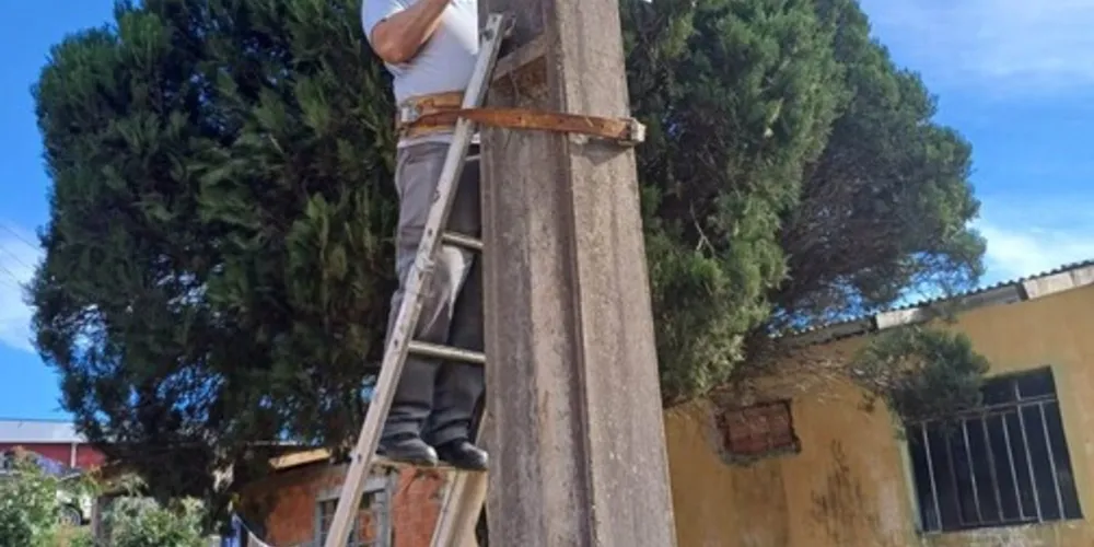 A solicitação desse serviço pode ser efetuada pelo cidadão pelo telefone 156