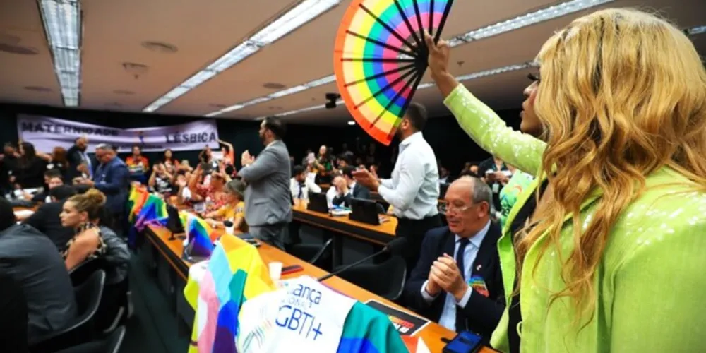 Projeto de lei está sendo discutido pelos deputados federais