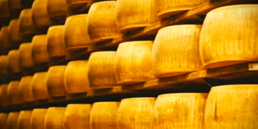 Local armazena queijos em prateleira com mais de 10 metros de altura