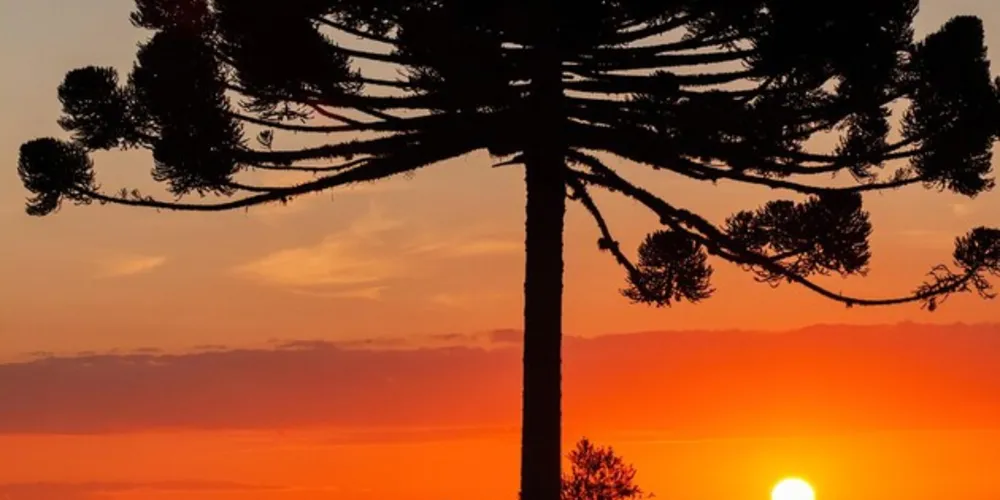 Em Ponta Grossa, a máxima é de 22°