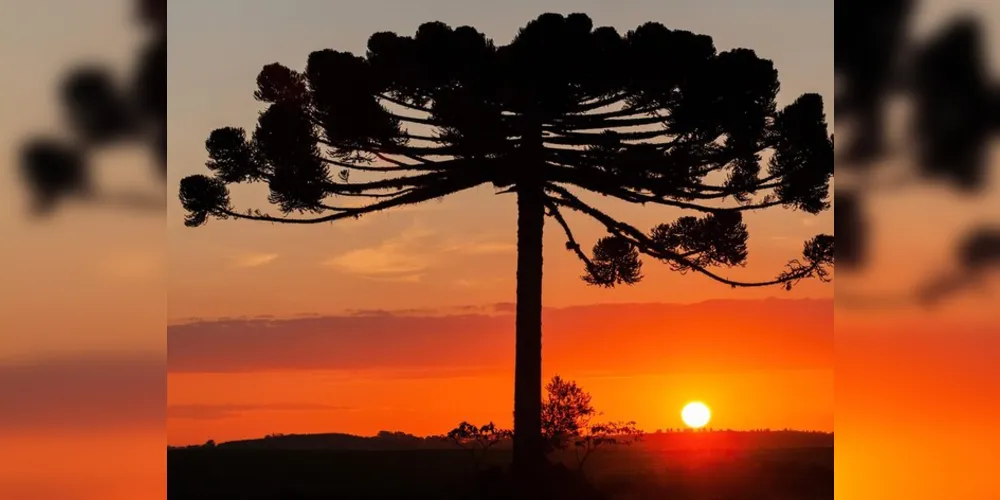 Em Ponta Grossa, a máxima é de 22°