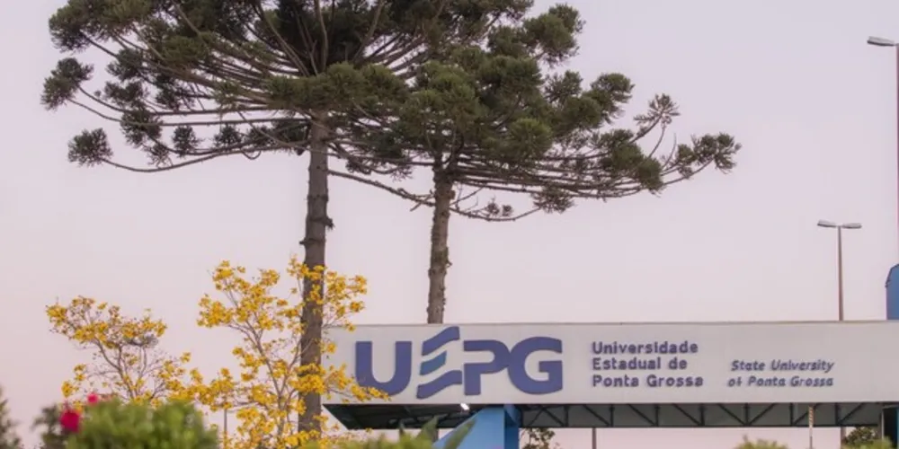 No país, a UEPG está na posição 48