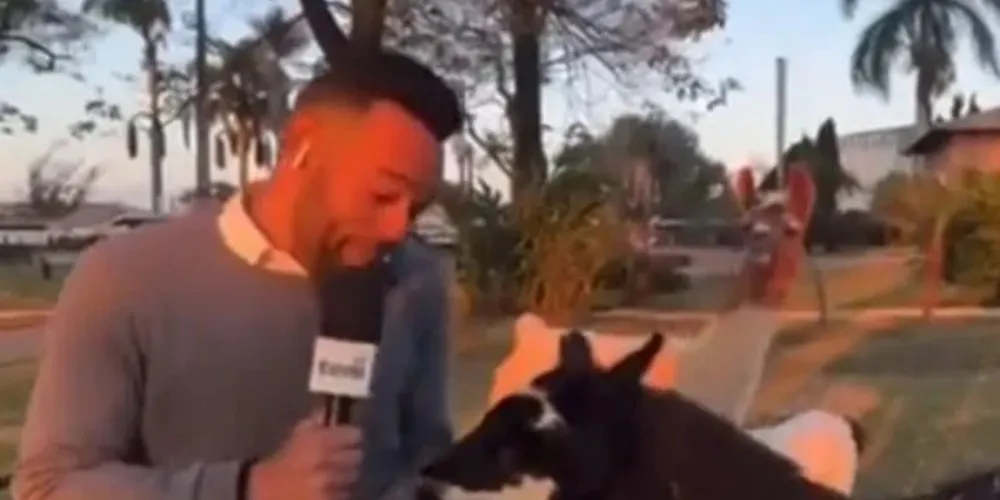 Apesar do susto, o repórter deu risadas e reagiu bem à situação