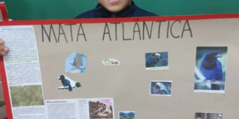 Os trabalhos envolveram pesquisas e a confecção de cartazes informativos sobre os biomas