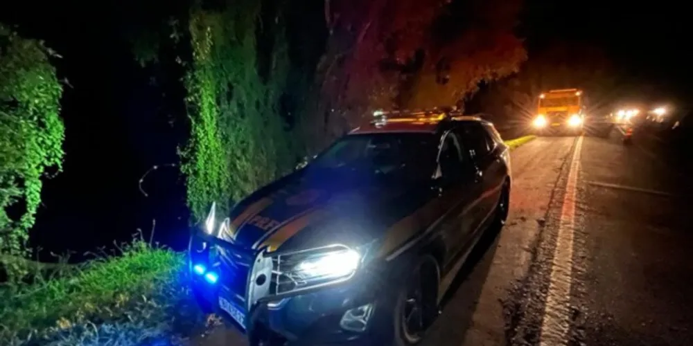 Veículo saiu da pista e colidiu contra uma árvore