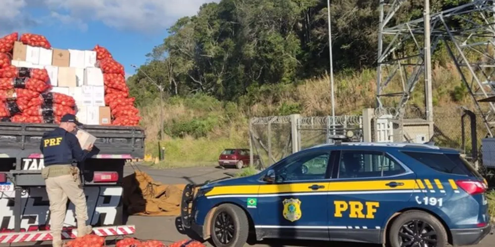 Apreensão foi na BR-277 em Irati