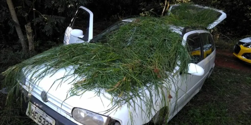 Veículo estava abandonado, sem os pneus e coberto de mato