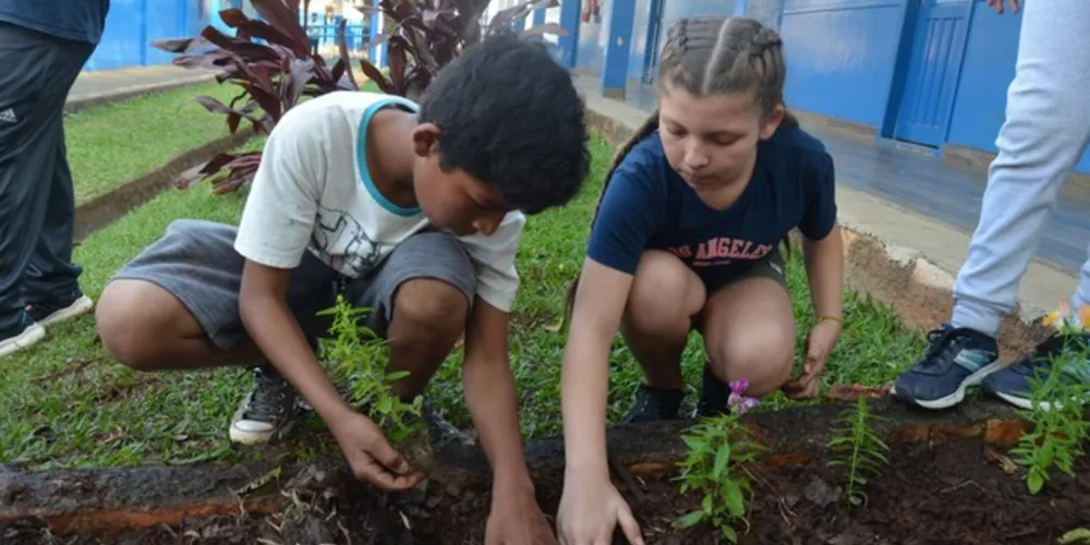 Professora destaca que projeto trouxe ganhos de trabalho em equipe, responsabilidade e senso de comunidade