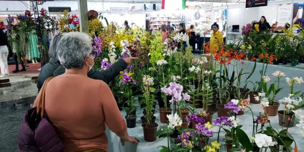 Exposição de Flores de Holambra, acontece entre os dias 06 e 17 de setembro, das 09h às 21h, no Parque Ambiental