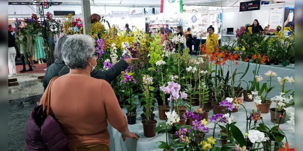 Exposição de Flores de Holambra, acontece entre os dias 06 e 17 de setembro, das 09h às 21h, no Parque Ambiental