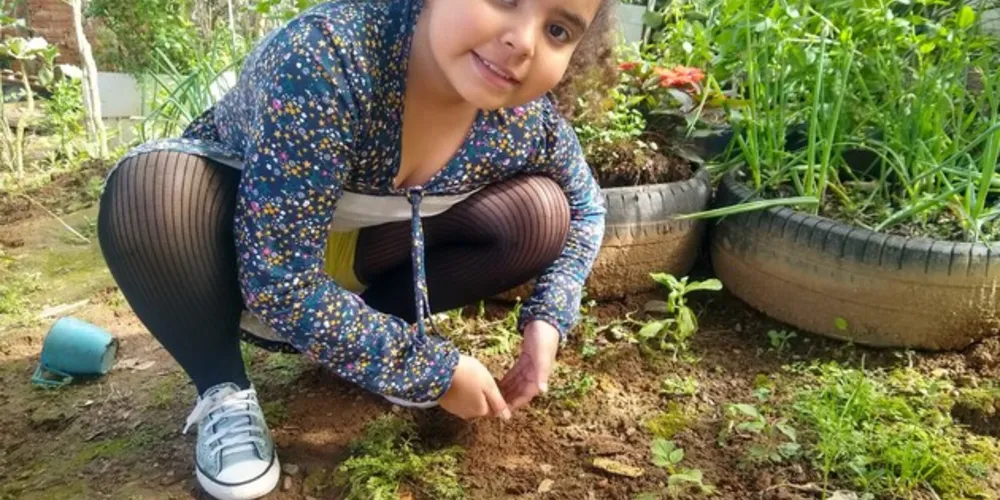 Durante as atividades, os alunos conseguiram acompanhar de forma prática o processo de desenvolvimento de uma planta