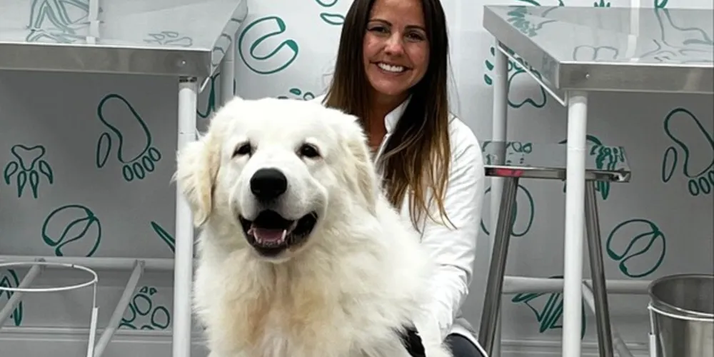 Calor exige mais cuidados com os pets