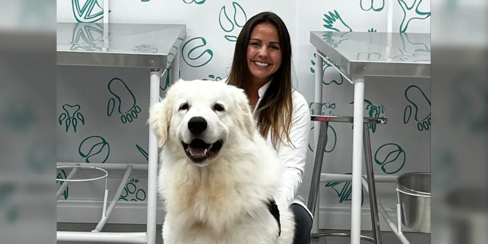 Calor exige mais cuidados com os pets