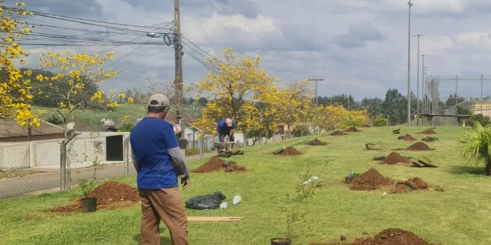 Ação visa incentivar a conscientização ambiental na cidade