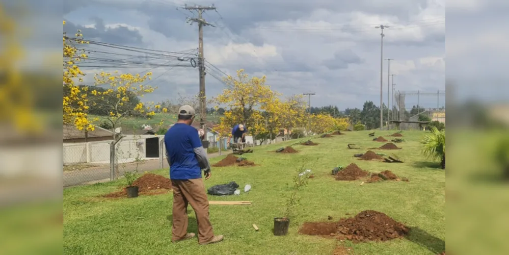 Ação visa incentivar a conscientização ambiental na cidade