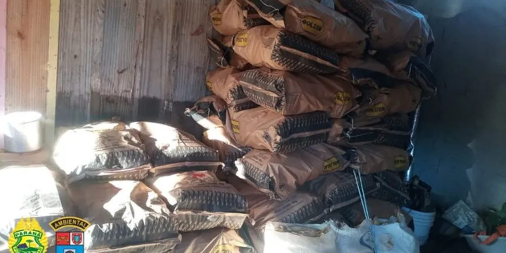 Denúncias levaram os policiais a uma propriedade rural em Quitandinha