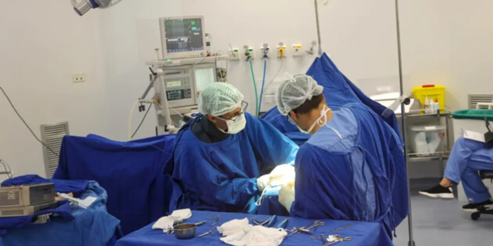 Em 2023, até junho, foram 220.445 cirurgias. Ou seja, em quatro anos e meio foram 1.828.279 procedimentos