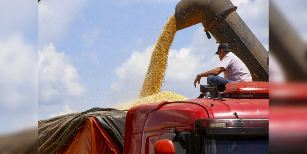 A produção de soja está confirmada em 22,4 milhões de toneladas em uma área de 5,8 milhões de hectares