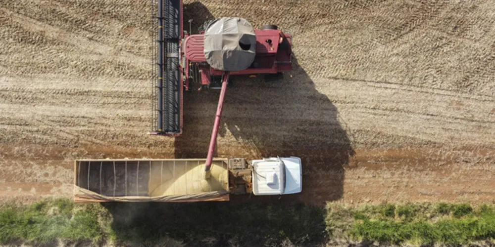 A soja em grãos e seus derivados correspondem a 80% das exportações da cidade