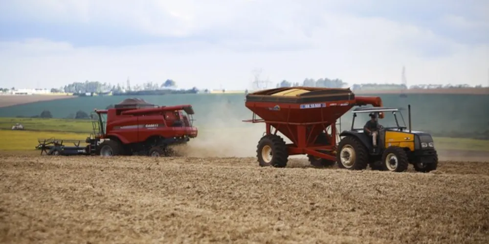 Neste primeiro levantamento a projeção indica 25,4 milhões de toneladas
