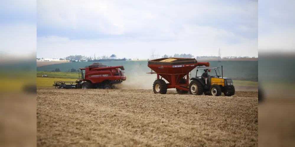 Neste primeiro levantamento a projeção indica 25,4 milhões de toneladas