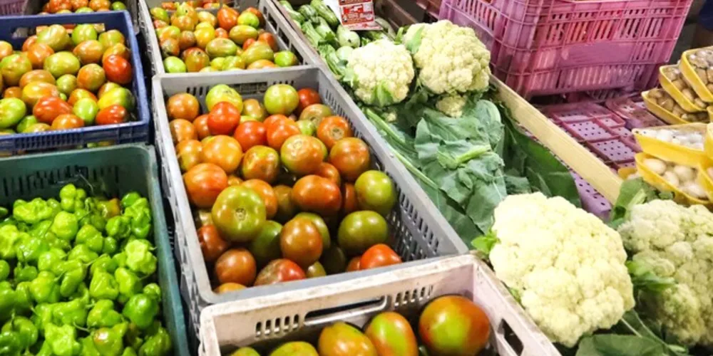 O limite é de até R$ 40 mil por agricultor ao ano